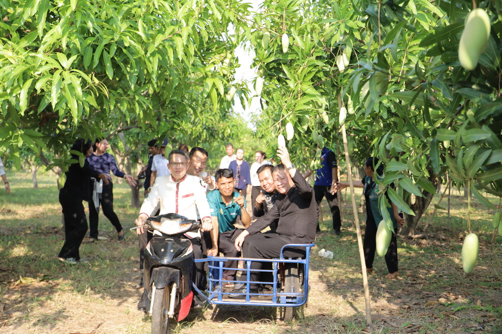 ผู้ว่าฯ กาฬสินธุ์ พาลุยสวน &ldquo;มะม่วงมหาชนก&rdquo; ของดีเมืองกาฬสินธุ์ ชูจุดเด่นสีสันสุดสวย เนื้อแน่นหอมหวาน รับประทานแล้วจะติดใจ&nbsp;